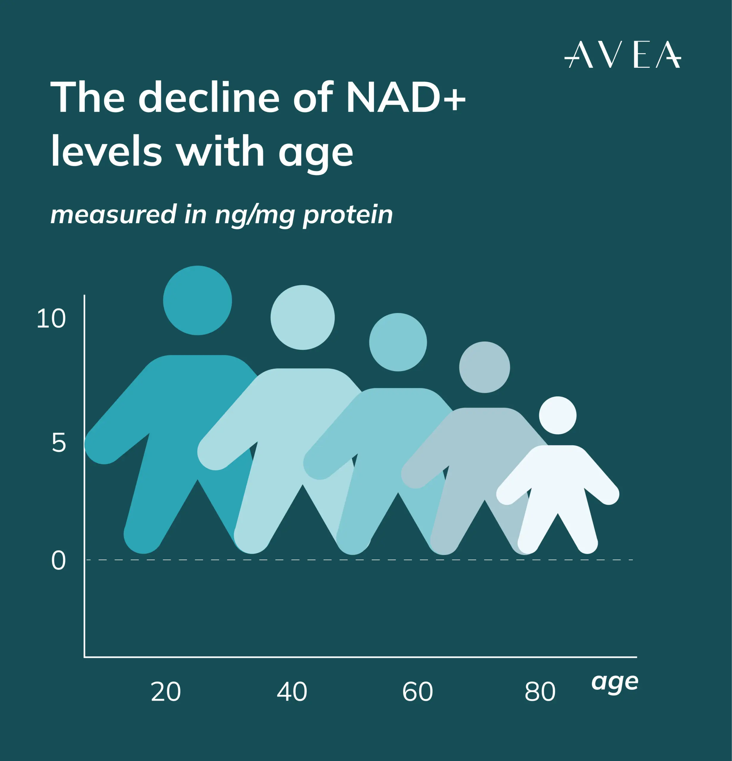The decline of NAD+ levels with age