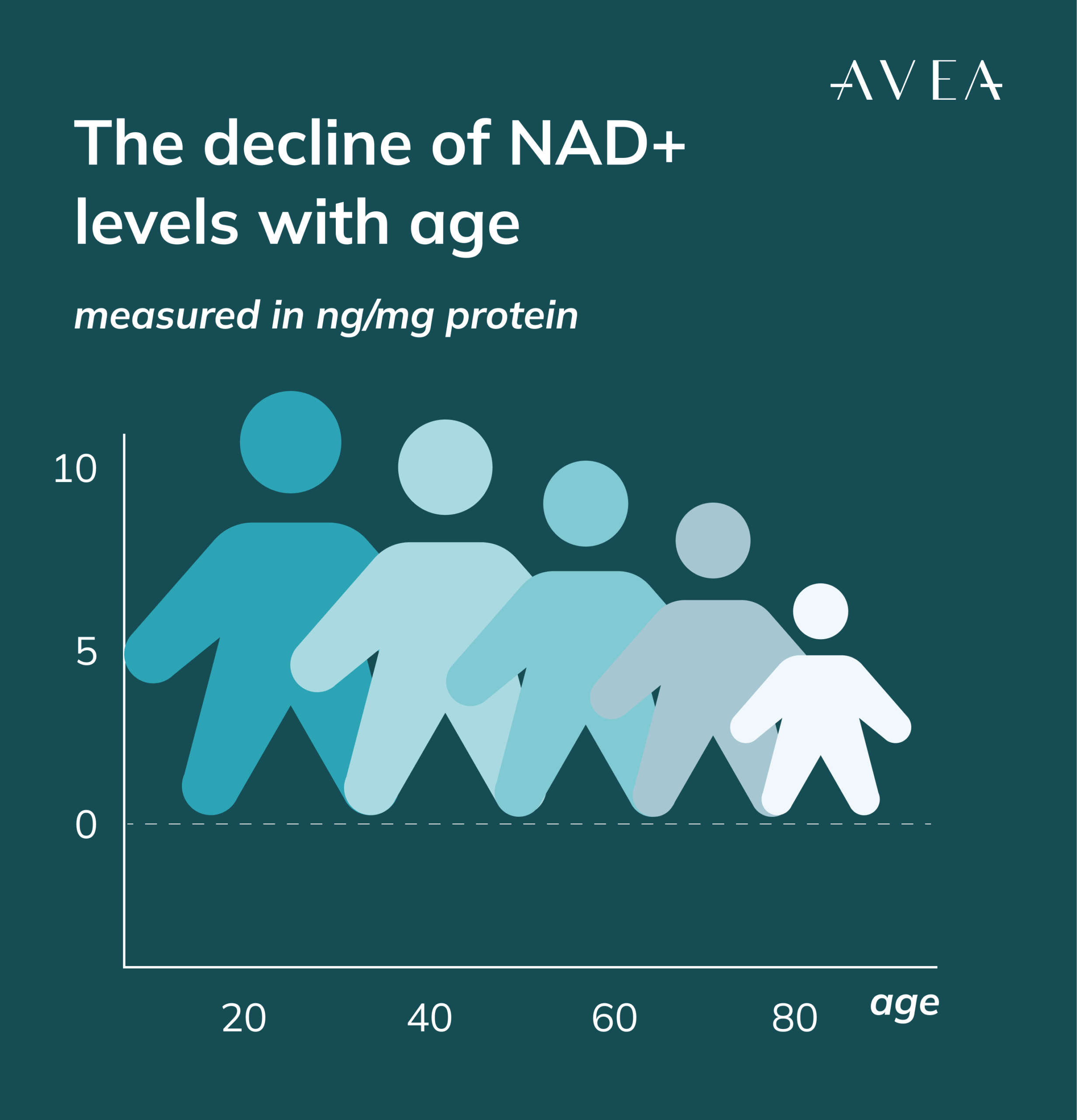 The decline of NAD+ levels with age