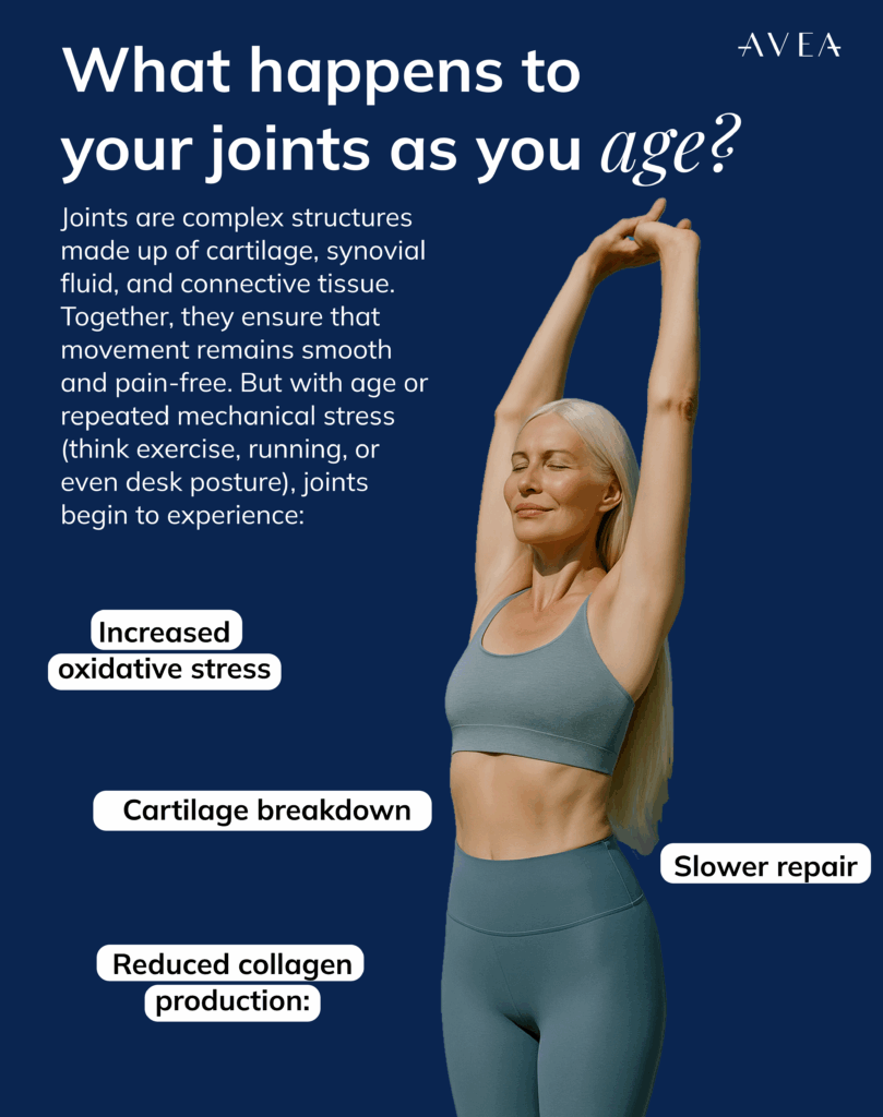 what happens to your joints as you age