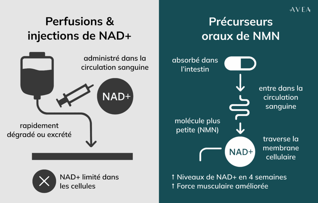Injections de NAD+ ou compléments alimentaires à base de NAD+