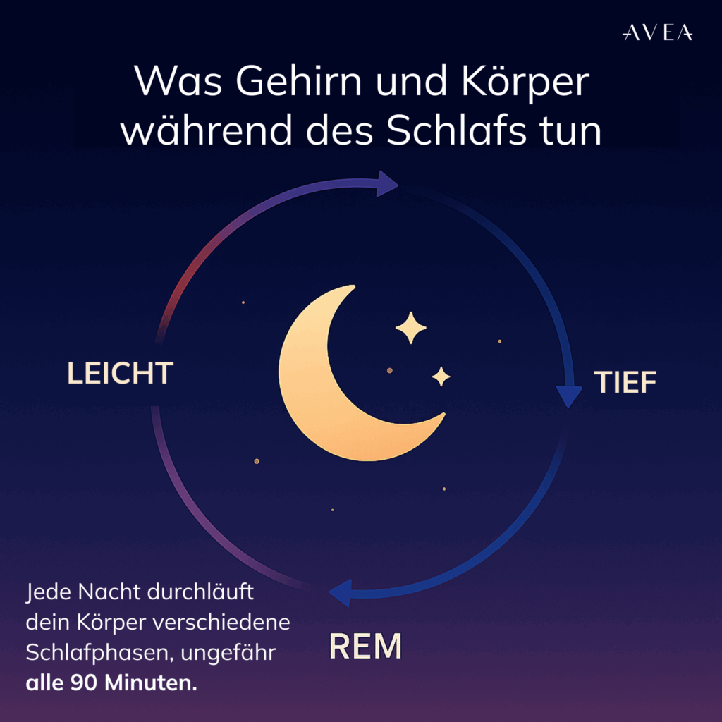 was gehirn und körper während des schlafs tun