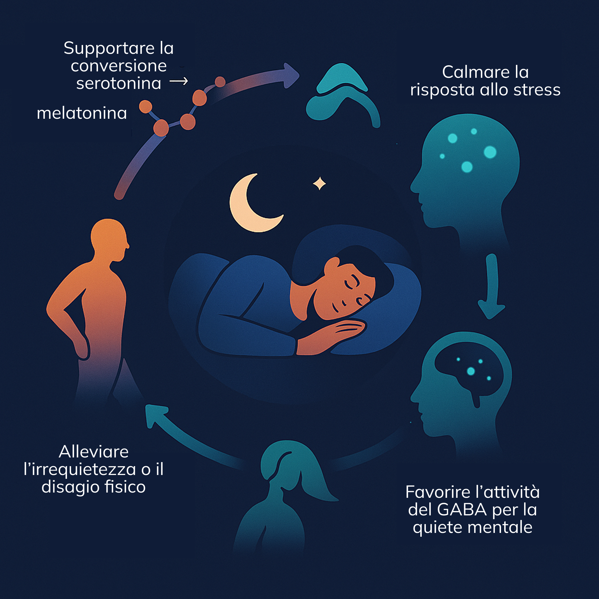 Sereniser di AVEA: Sonno Profondo Senza Melatonina