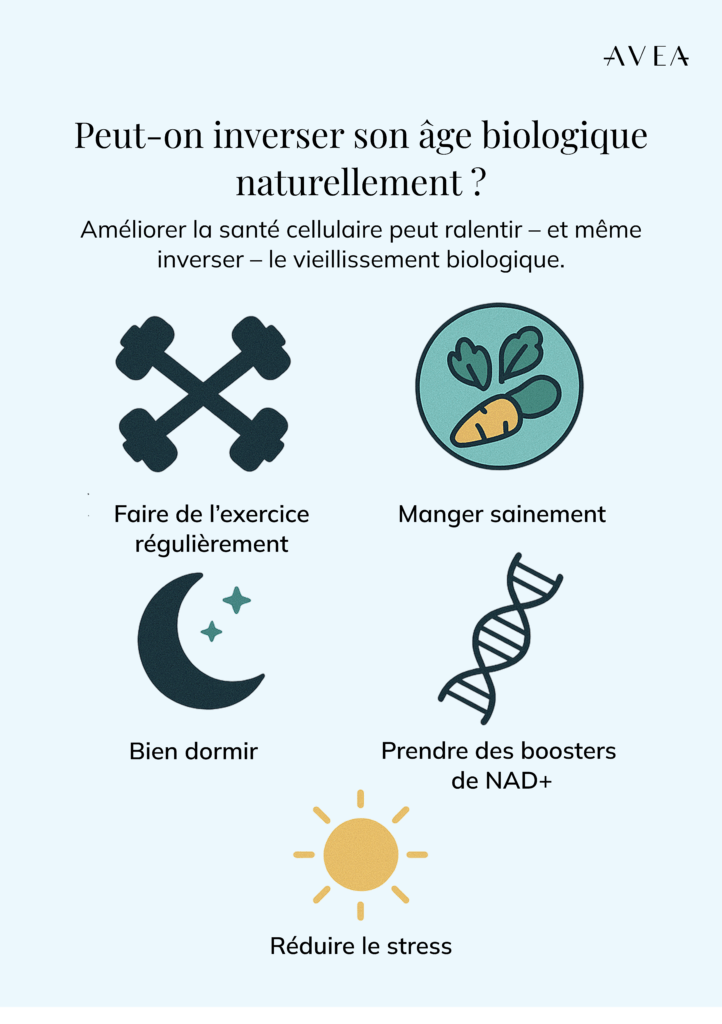 Peut-on inverser l'âge biologique de manière naturelle