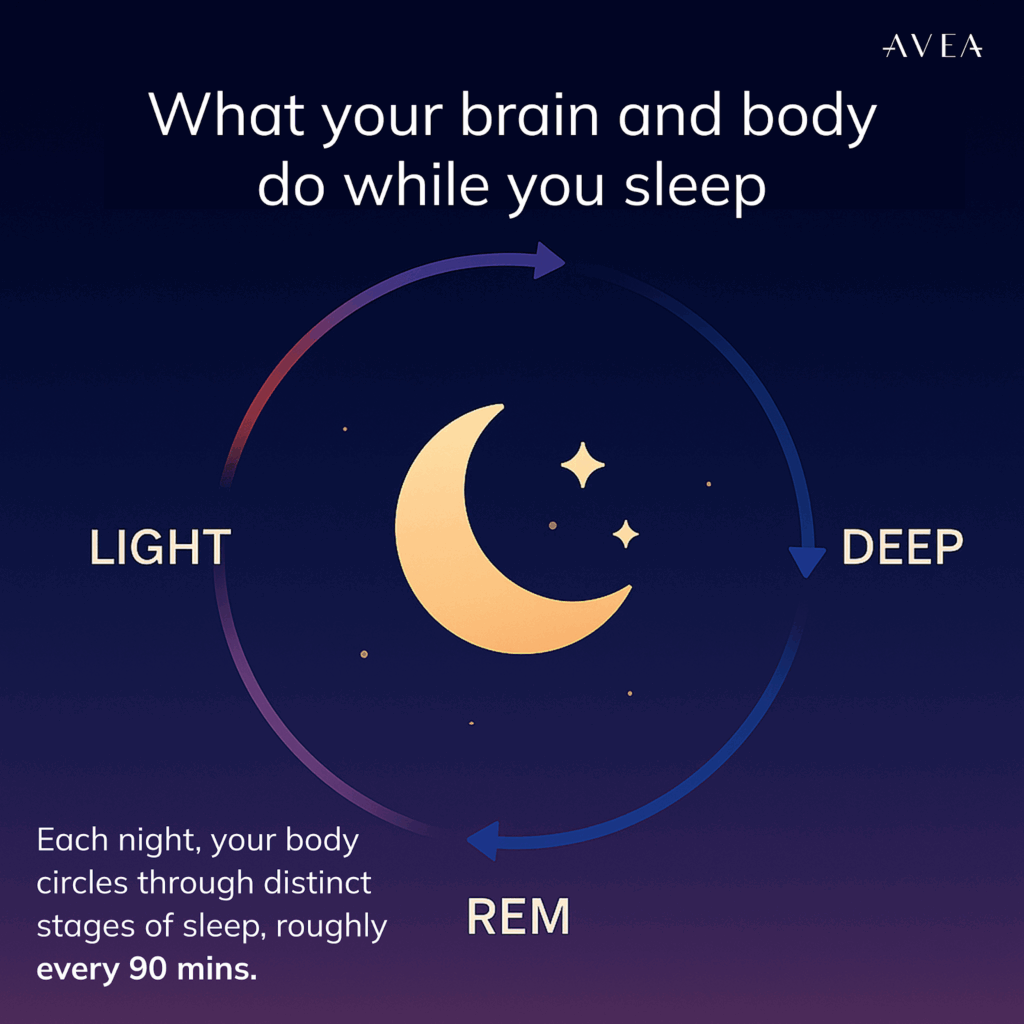 what your brain and body do while you sleep