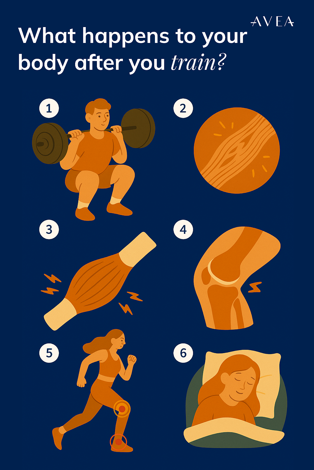 what happens to your body after you train