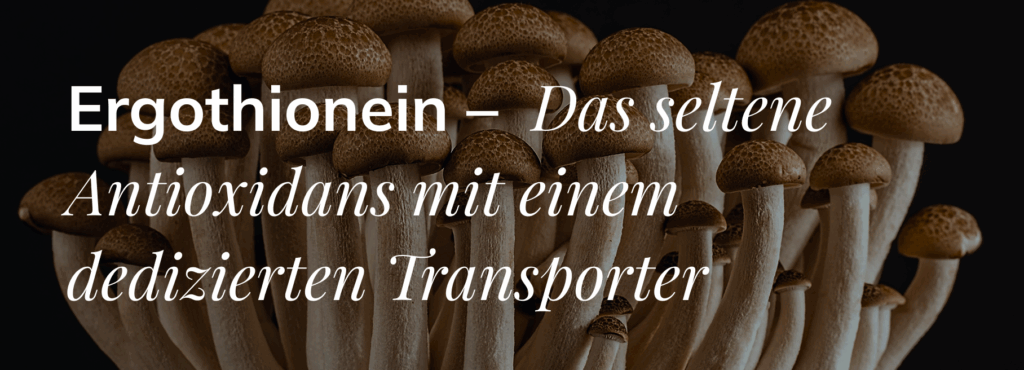 Ergothionein - Das seltene antioxidans mit einem dedizierten transporter