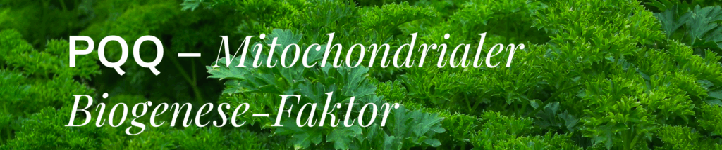 PQQ - Mitochondrial Biogenese Faktor
