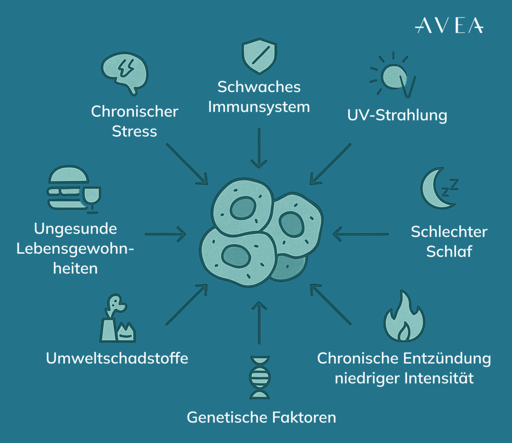 Warum sammeln sich Zombie-Zellen an?