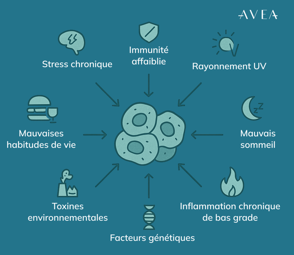 Qu'est-ce qui provoque l'accumulation de cellules zombies ?