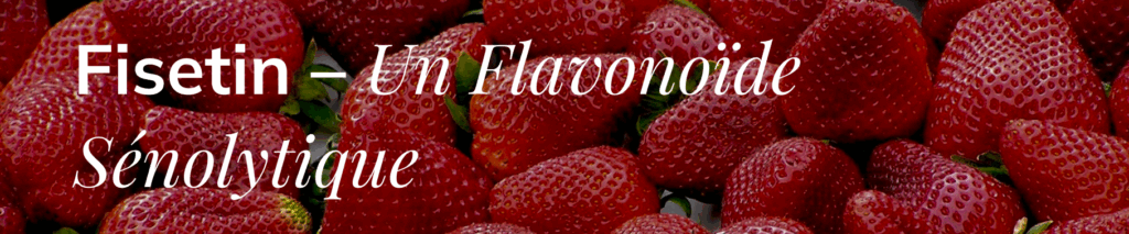 Fisetine