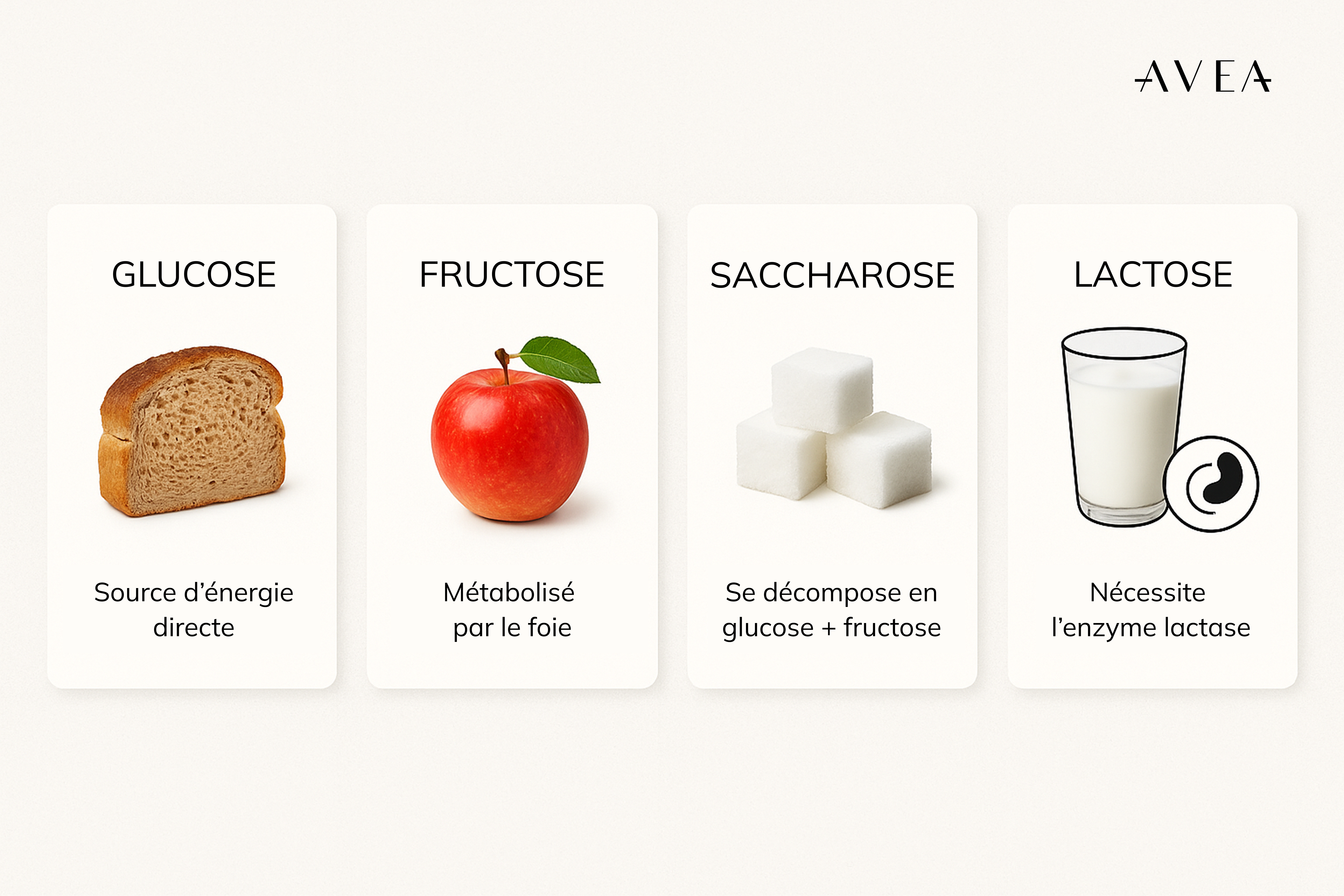 Quelle est la différence entre le glucose, le fructose, le lactose et le saccharose