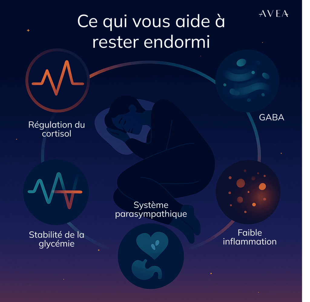 Ce qui vous aide à rester endormi