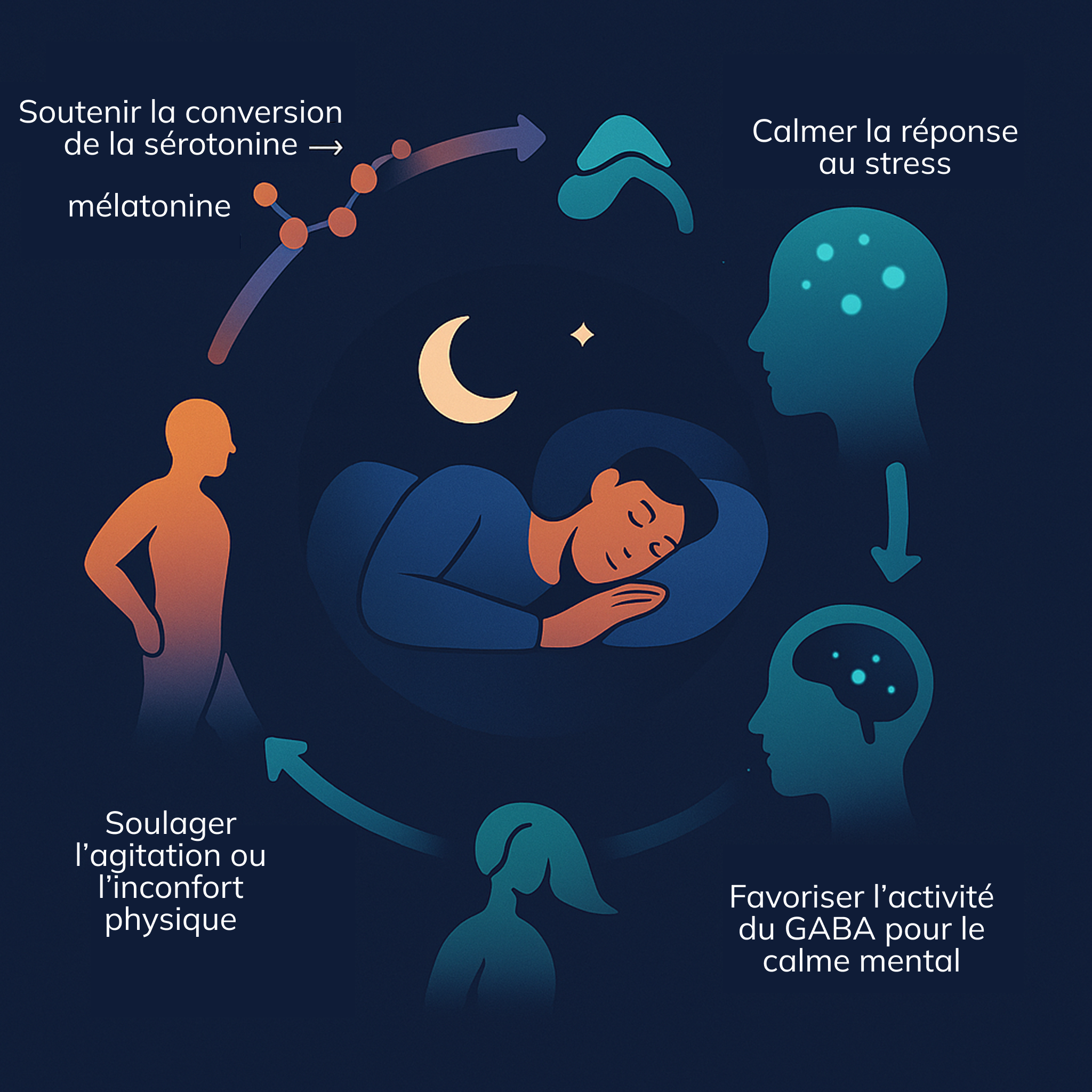 Un meilleur sommeil avec AVEA Sereniser : favorisez votre sommeil sans mélatonine